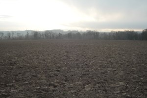 Champ d’hiver à Nesles